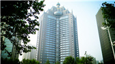 洛陽(yáng)開(kāi)元礦業(yè)集團(tuán)有限公司，始成立于2006年，主營(yíng)業(yè)務(wù)涵蓋礦產(chǎn)品貿(mào)易、礦山開(kāi)發(fā)、酒店服務(wù)、房地產(chǎn)開(kāi)發(fā)和金融投資等，集團(tuán)位于洛陽(yáng)市開(kāi)元大道世貿(mào)中心；中國(guó)民主建國(guó)會(huì)會(huì)員、青年企業(yè)家許明月先生是公司創(chuàng)始人和實(shí)際控制人，目前任洛陽(yáng)開(kāi)元礦業(yè)集團(tuán)有限公司董事長(zhǎng)兼總經(jīng)理。