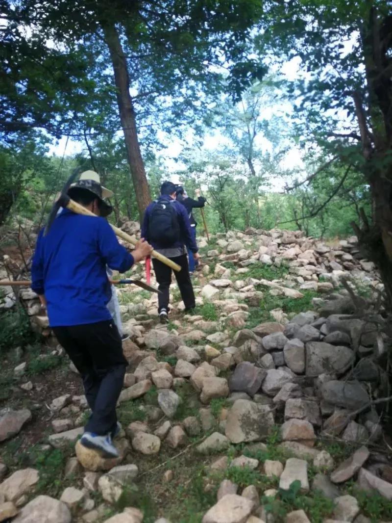 1529023069253693.jpg 03.jpg