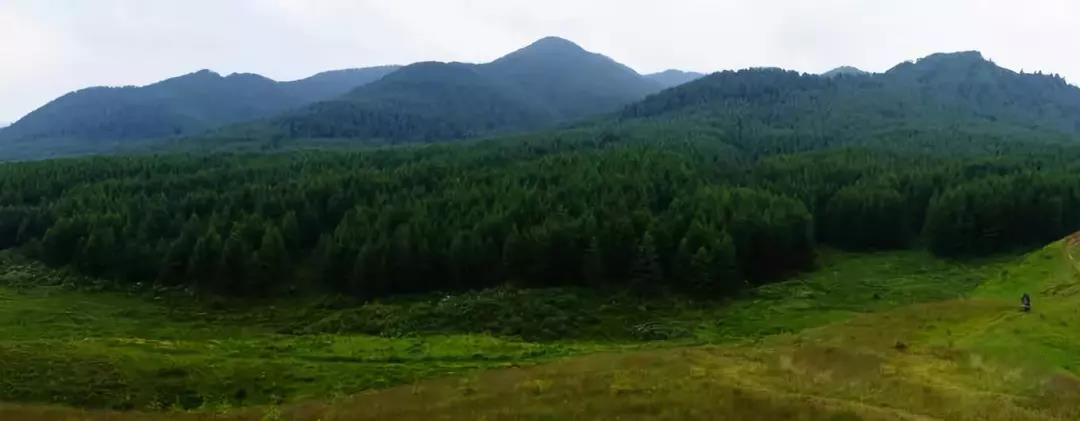 1529581974850739.jpg 微信圖片_20180621194724.jpg