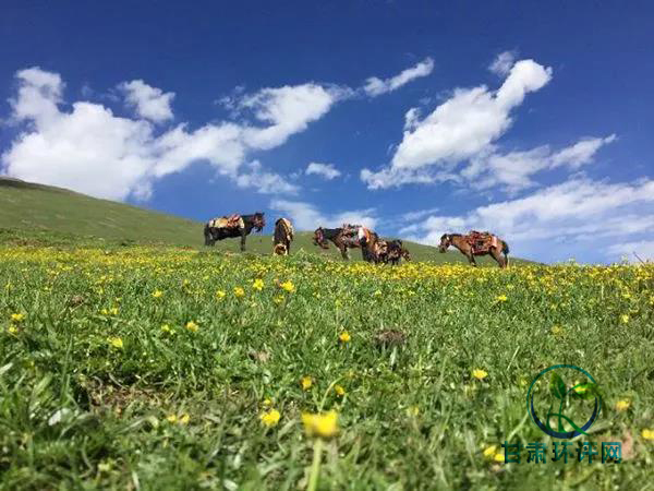 1529995138956228.jpg 05.jpg