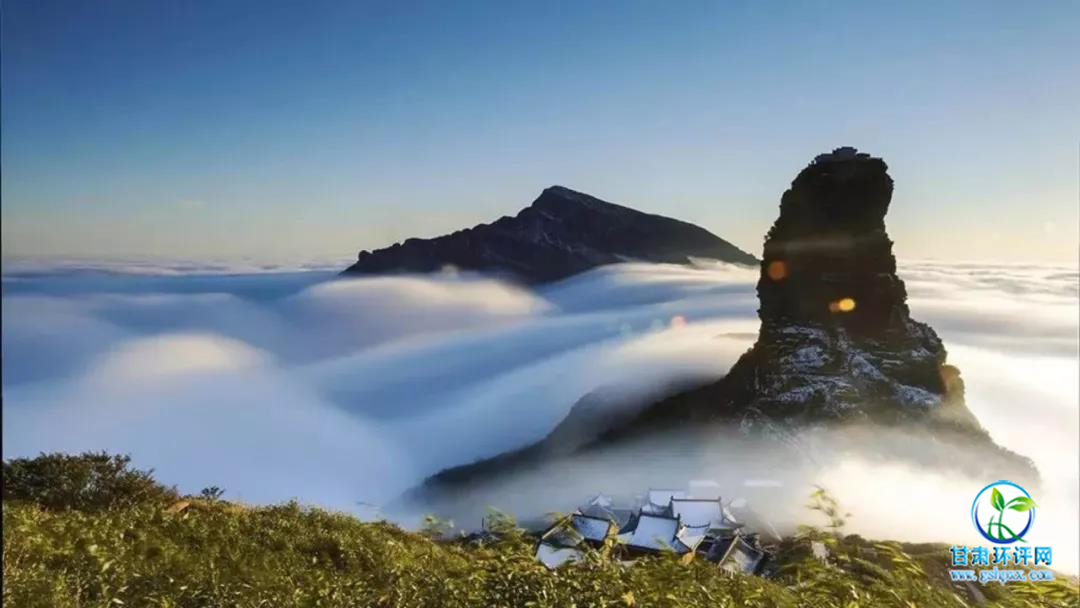 1530676663955605.jpg 04.jpg